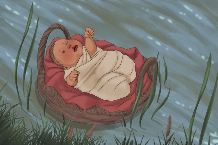 Moses was placed in a basket and hidden among the reeds at the edge of the River Nile.
